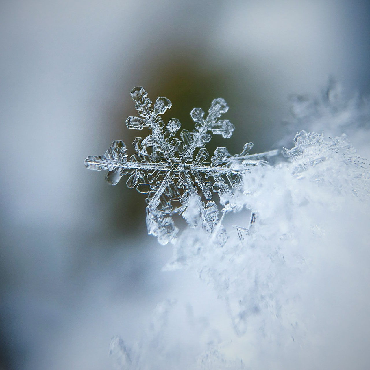 雪の結晶