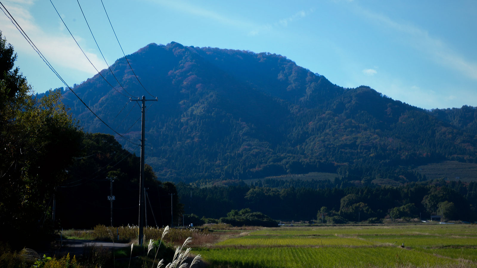 勝山農園の周辺環境